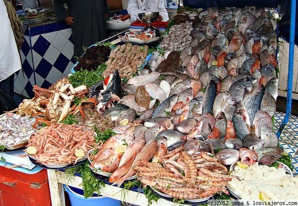 pescado en el puerto de essaouira